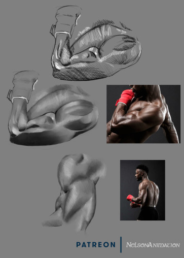 Arm & Shade Study — figure reference