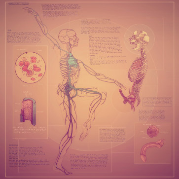 Study XXIX — figure reference
