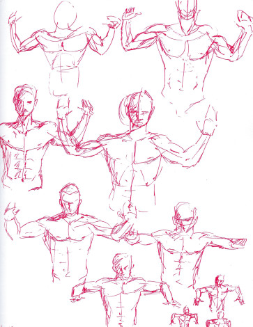 front view — figure reference