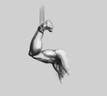 arm — figure reference