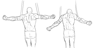 Anatomy — figure reference