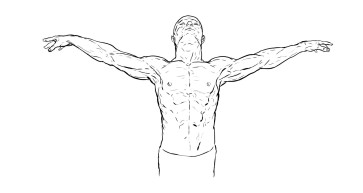 Anatomy 2 — figure reference
