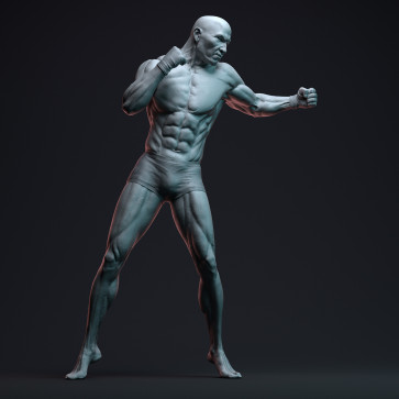 Boxer — figure reference