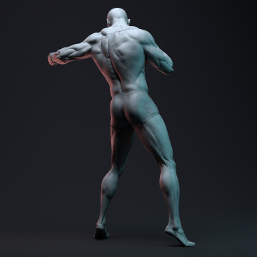 Boxer — figure reference