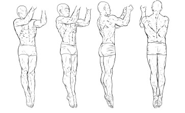Anatomy 3 — figure reference