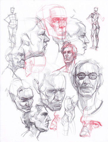 Head sketches — figure reference