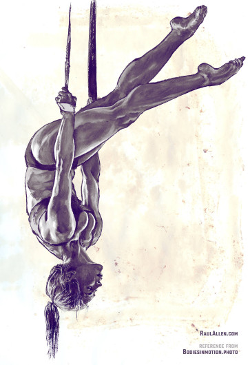 Female straps value study — figure reference