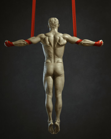My Male Straps 5 Study — figure reference