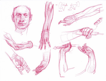 Head and Hands — figure reference