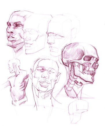 Head studies — figure reference