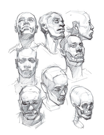 Study of multiple views — figure reference