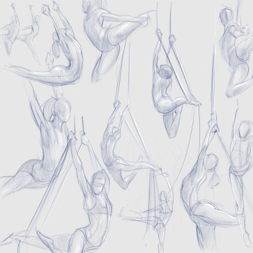 Silk 2min studies — figure reference