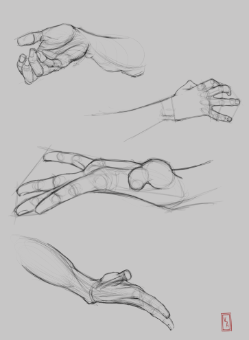 Hand Studies — figure reference