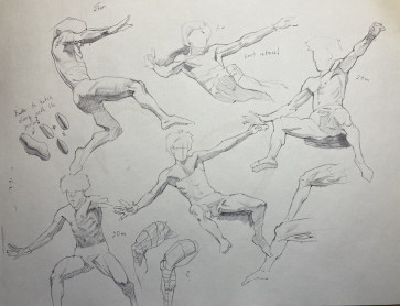Studies — figure reference