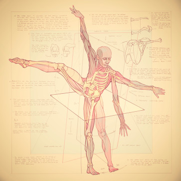 study 1 — figure reference