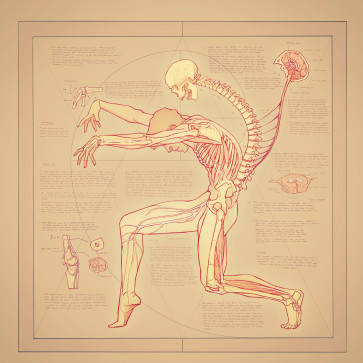 surgical extraction — figure reference
