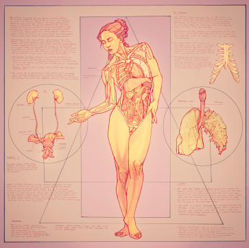 undressing — figure reference