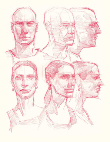 Heads — figure reference