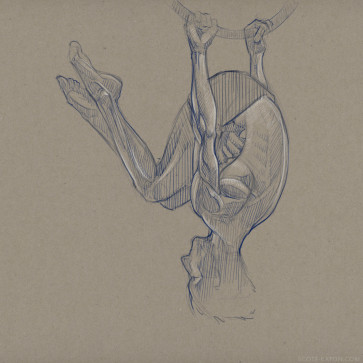 Morning Study - Hoop Guy — figure reference