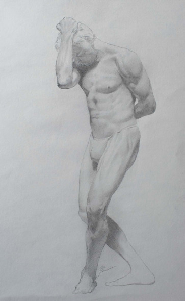 BACS_male — figure reference