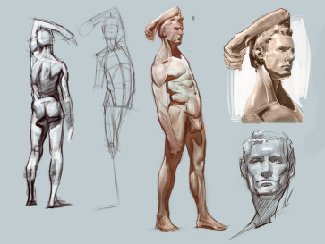 Studies — figure reference