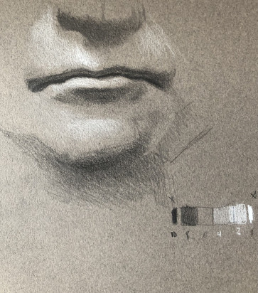 Donny's Mouth — figure reference