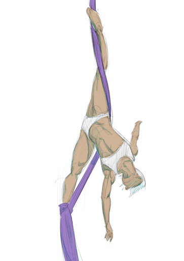 Aerial — figure reference