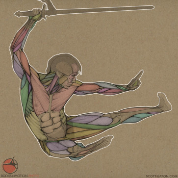 Wushu Ecorche — figure reference