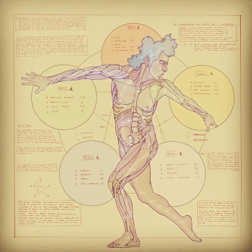 acupuncture and anatomy study — figure reference