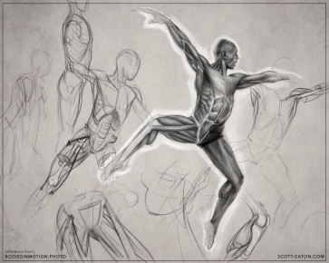 Ecorche study of male ballet dancer — figure reference
