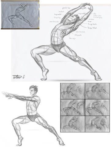 Study of Anatomy — figure reference