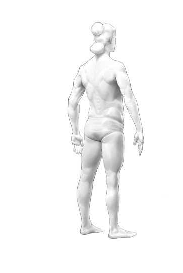 背部线面 — figure reference