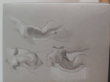 Tornatorso — figure reference