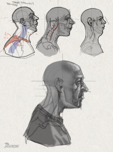 Disgust_Profile — figure reference