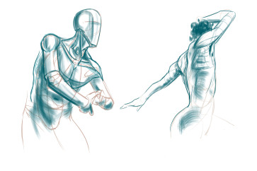 Shoulder Studies — figure reference