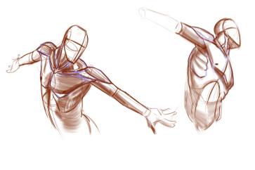 Shoulder studies — figure reference