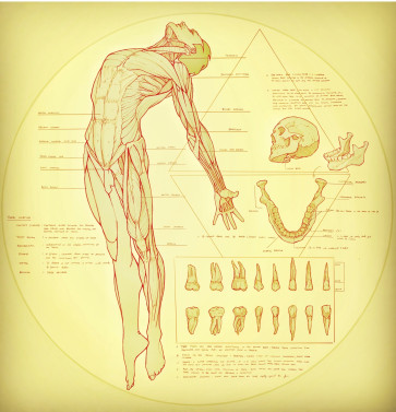 animate the dead — figure reference