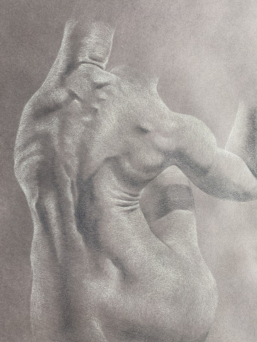 Elle's Back — figure reference