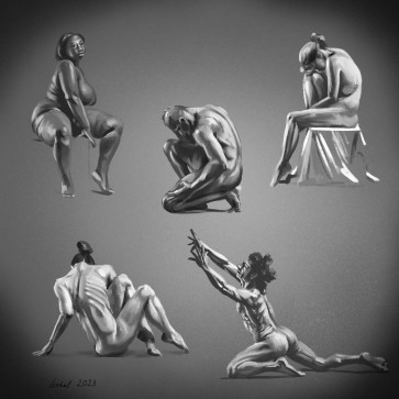 Daily Studies 2 — figure reference