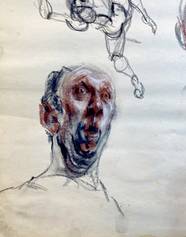 Surprise! — figure reference