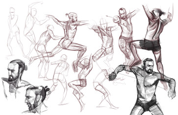 Dan studies — figure reference