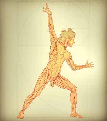 andrew study — figure reference
