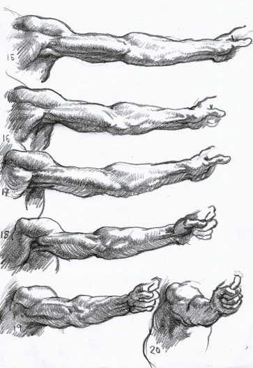 Left Arm Rotation — figure reference