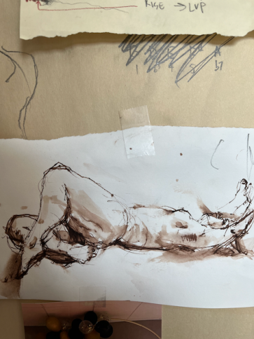 alexmedium — figure reference