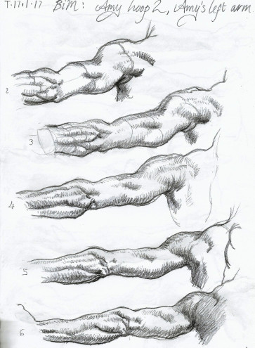 Left Arm Rotation — figure reference
