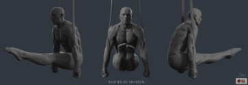 Anatomy Study — figure reference