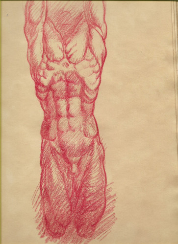 Right Way Up Re scan Male Straps — figure reference