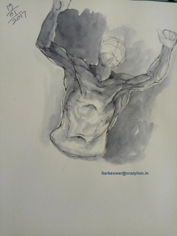 anatomy study — figure reference