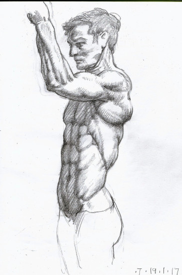 Male Chain 6 Frame 55 Lateral Upper Male — figure reference