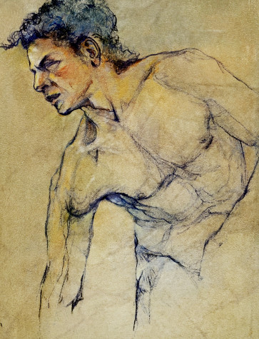 Andrew — figure reference